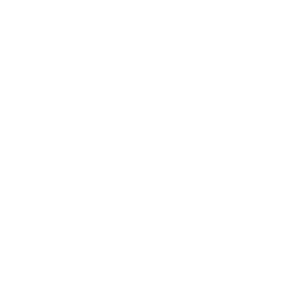 Expo D. Pedro